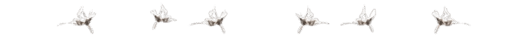 mosquito