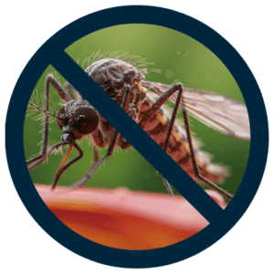mosquito control